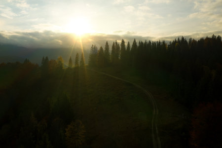 Aerial view of beautiful pathway in mountain forest at sunriseの写真素材