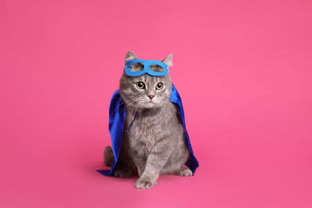 Adorable cat in blue superhero cape and mask on pink backgroundの写真素材
