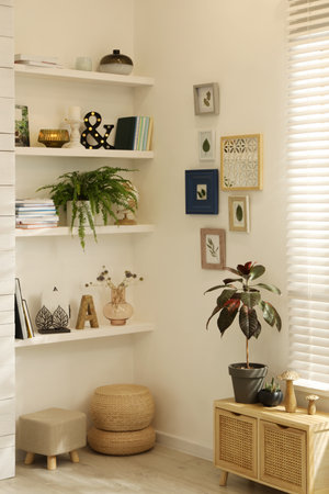 Beautiful green plants and different decor on shelves in the room. interior design