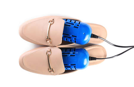 Pair of stylish shoes with modern electric footwear dryer on white background, top view