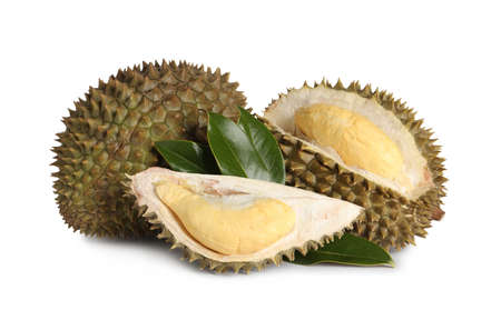 Fresh ripe durians with green leaves on white background. tropical fruitsの写真素材