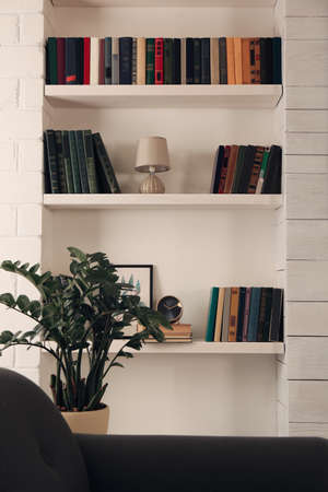 Shelves with different books and decor on light wallの写真素材