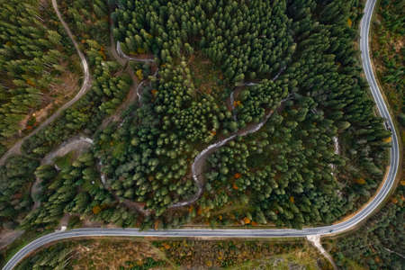 Aerial view of beautiful forest and road on autumn day