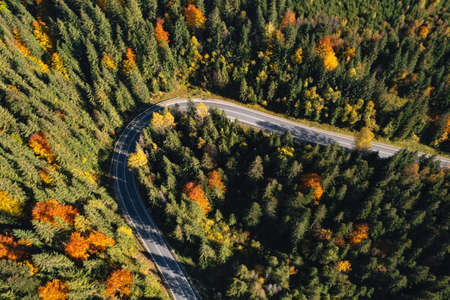 Aerial view of asphalt road surrounded by coniferous forest on sunny day. drone photographyの写真素材
