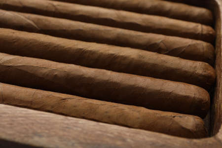 Close up view of many cigars as backgroundの写真素材