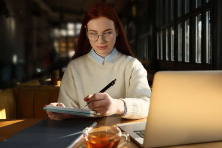 Young female student with laptop studying at table in cafeの写真素材