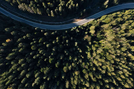 Aerial view of asphalt road surrounded by coniferous forest on sunny day. drone photography