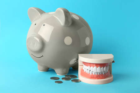 Educational dental typodont model, piggy bank and coins on light blue background. Expensive treatmentの写真素材