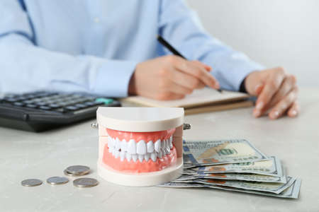 Educational dental typodont model and money on light gray table. Expensive treatmentの写真素材