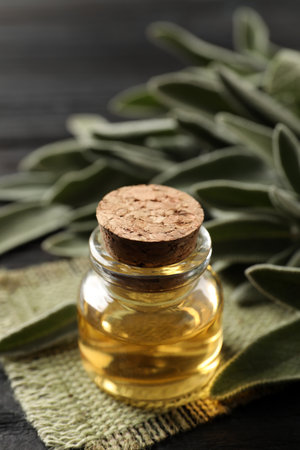 Bottle of essential sage oil and twigs on gray wooden table, closeup. Space for textの写真素材
