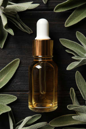 Bottle of essential sage oil, twigs and leaves on black wooden table, flat layの写真素材