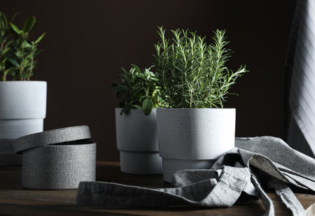 Different aromatic potted herbs on wooden tableの写真素材