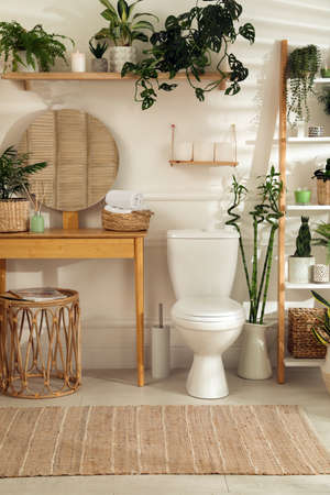 Stylish bathroom interior with toilet bowl and many beautiful houseplantsの写真素材