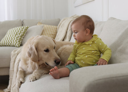 Cute little baby with adorable dog on sofa at homeの写真素材