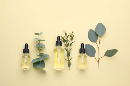 Flat lay composition with bottles of eucalyptus essential oil and plant branches on beige backgroundの素材 [FY310183890631]