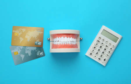 Educational dental typodont model, credit cards and calculator on light blue background, flat lay. Expensive treatmentの写真素材