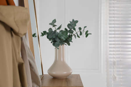 Beige ceramic vase with beautiful eucalyptus branches on table indoorsの写真素材