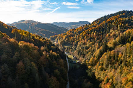 Aerial view of road going through beautiful autumn forest