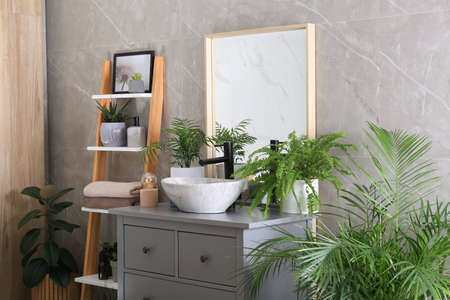 Modern bathroom interior with stylish vessel sink and beautiful green houseplantsの写真素材