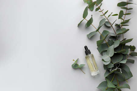 Bottle of eucalyptus essential oil and plant branches on white background, flat lay. Space for textの写真素材