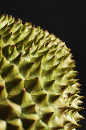 Close up view of ripe durian on black background