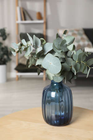 Blue glass vase with beautiful eucalyptus branches on wooden table in living roomの写真素材