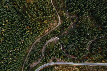 Aerial view of beautiful forest and empty road on autumn day