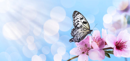 Beautiful butterfly and branch with tiny flowers on light blue background, bokeh effect. Awesome...