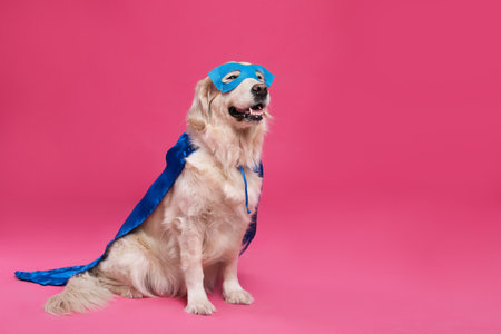 Adorable dog in blue superhero cape and mask on pink background, space for textの写真素材