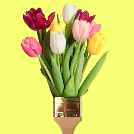 Creative design with paint brush and beautiful tulips on yellow background. spring is comingの写真素材