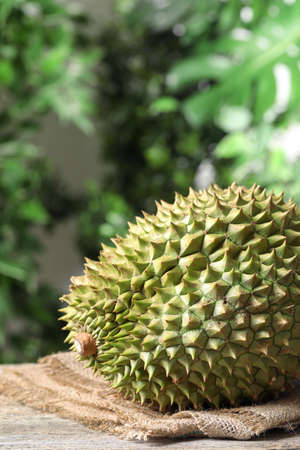 Ripe durian on wooden table against blurred background. Space for textの写真素材