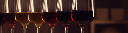 Glasses with different tasty wines, closeup view. banner designの写真素材