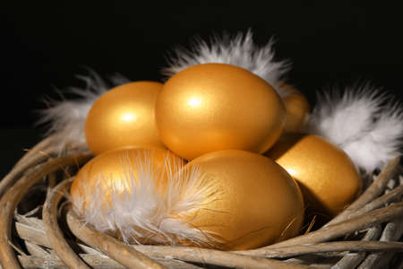 Shiny golden eggs with feathers in nest on black background, closeupの写真素材