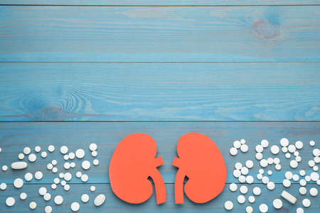 Paper cutout of kidneys and pills on blue wooden table, flat lay. Space for textの写真素材