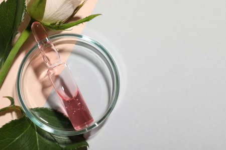 Pharmaceutical ampoule with medication and flower on light background, flat lay. Space for textの写真素材