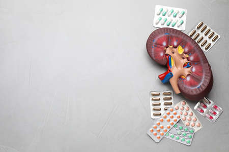 Kidney model and pills on gray table, flat lay. Space for textの写真素材
