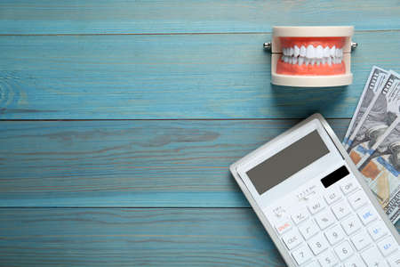 Educational dental typodont model, dollar banknotes and calculator on light blue wooden table, flat...