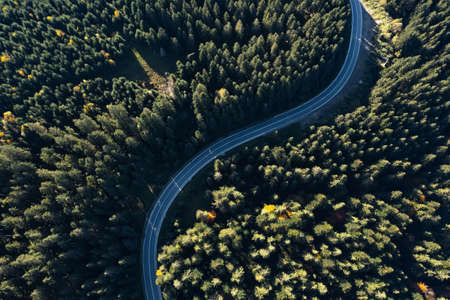 Aerial view of asphalt road surrounded by coniferous forest on sunny day. drone photography
