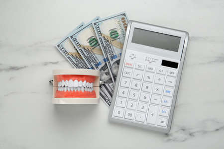 Educational dental typodont model, dollar banknotes and calculator on white table, flat lay....