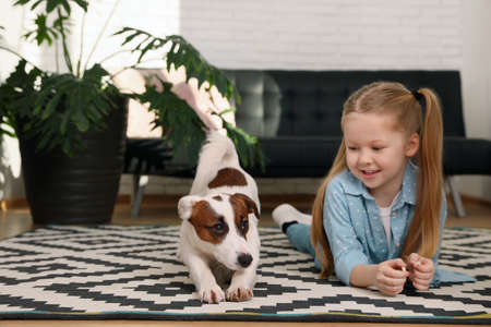 Cute little girl with her dog on carpet at home. Childhood petの写真素材