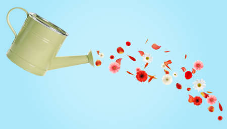 Spring is coming. Light green watering can, beautiful flowers and petals on turquoise backgroundの写真素材