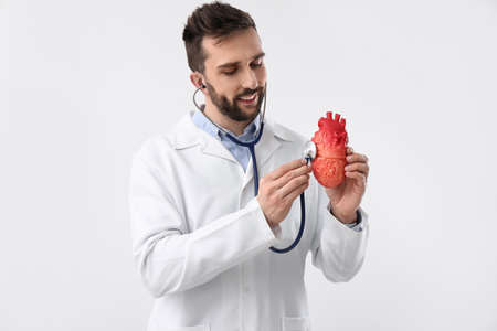 Doctor with stethoscope and model of heart on white background. cardiology conceptの写真素材