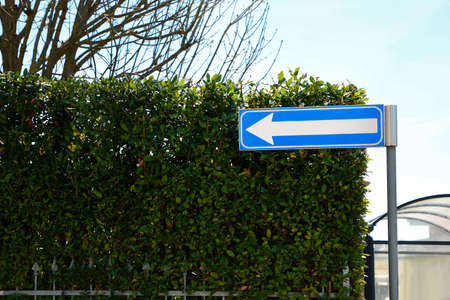 Road sign One Way Traffic and green shrubbery outdoorsの写真素材