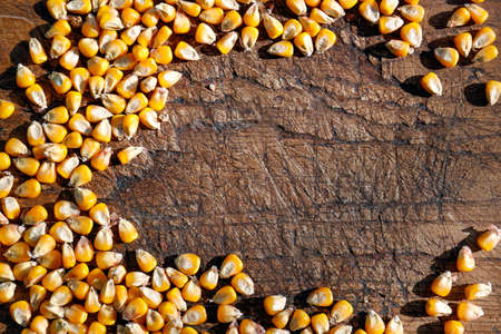 Corn seeds on wooden background, flat lay with space for text. vegetable planting