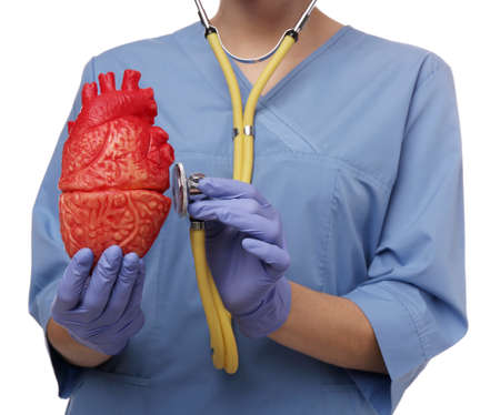 Doctor with stethoscope and model of heart on white background, closeup. cardiology conceptの写真素材
