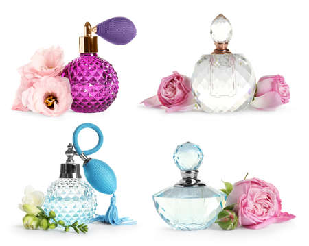 Set with different bottles of perfume and flowers on white background