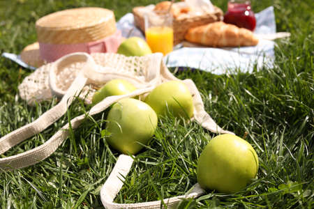 Fresh apples near blanket with juice and croissant on green grass. picnic seasonの写真素材