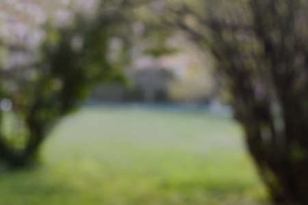 Blurred view of shrubs in park and building. bokeh effectの写真素材