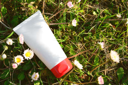 Tube of cream in green grass outdoors on sunny day, top view. Space for textの写真素材