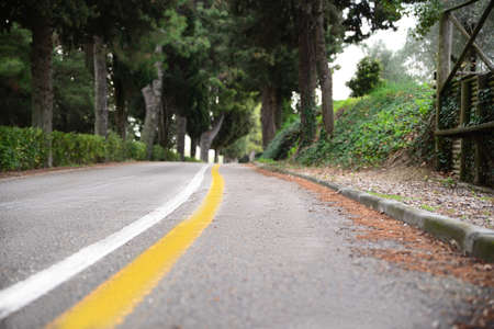 Beautiful view of asphalt road with pedestrian area in cityの写真素材